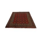 Orientalska preproga Aqcha Bukhara 150x196 ročno vozlana Afgan preproga