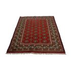 Orientalska preproga Aqcha Bukhara 123x178 ročno vozlana preproga
