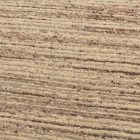 Debela volnena preproga 200x292 enobarvna preproga za dnevno sobo