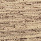 Debela volnena preproga 90x157 enobarvna preproga za dnevno sobo