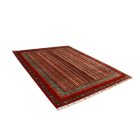 Orientalska preproga Shawal 245x304 Ročno vozlana preproga