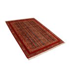 Orientalska preproga Shawal 152x199 Ročno vozlana preproga