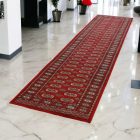Tekač preproga bordo Bukhara 81x366 ročno vozlana preproga za hodnik