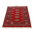 Pakistanska preproga bordo Bukhara 76x123 Ročno vozlana orientalska preproga