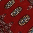 Pakistanska preproga bordo Bukhara 76x123 Ročno vozlana orientalska preproga