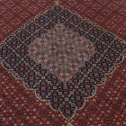 Velika preproga Tabriz 245x355 ročno vozlana perzijska preproga za dnevno sobo
