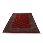 Preproga Pakistan rdeča Jaldar 156x248 ročno vozlana orientalska preproga