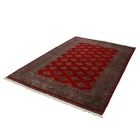 Preproga Pakistan rdeča Jaldar 156x248 ročno vozlana orientalska preproga