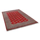Preproga Pakistan rdeča Jaldar 156x248 ročno vozlana orientalska preproga