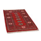 Pakistanska preproga bordo Bukhara 80x126 Ročno vozlana orientalska preproga