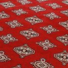 Bordo preproga Bukhara 153x245 cm – ročno vozlana pakistanska preproga