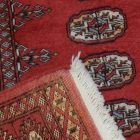 Pakistanska preproga roza Bukhara 81x119 Ročno vozlana orientalska preproga