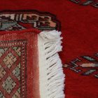 Tekač preproga bordo Bukhara 64x179 ročno vozlana preproga za hodnik
