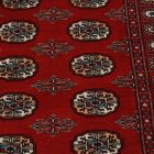Pakistanska preproga bordo Bukhara 93x155 Ročno vozlana orientalska preproga