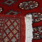 Pakistanska preproga bordo Bukhara 95x152 Ročno vozlana orientalska preproga