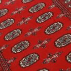 Pakistanska preproga bordo Bukhara 97x155 Ročno vozlana orientalska preproga