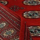 Pakistanska preproga bordo Bukhara 97x154 Ročno vozlana orientalska preproga