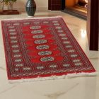 Pakistanska preproga bordo Bukhara 78x116 Ročno vozlana orientalska preproga