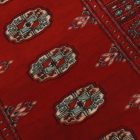 Pakistanska bordo preproga Bukhara 79x124 cm – kompaktna ročna klasika