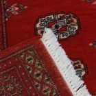 Pakistanska bordo preproga Bukhara 79x124 cm – kompaktna ročna klasika