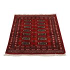 Pakistanska preproga bordo Bukhara 80x115 Ročno vozlana orientalska preproga