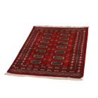 Pakistanska preproga bordo Bukhara 80x115 Ročno vozlana orientalska preproga