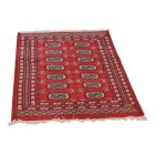 Pakistanska preproga bordo Bukhara 80x115 Ročno vozlana orientalska preproga