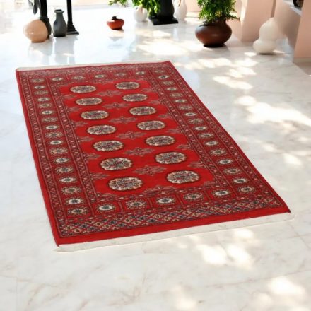 Preproga Pakistan bordo bokhara 92x152 ročno vozlana orientalska preproga