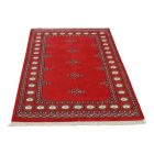 Pakistanska preproga bordo Butterfly 95x158 Ročno vozlana orientalska preproga