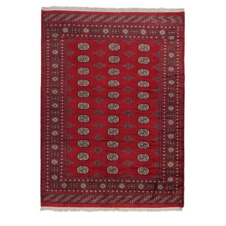 Pakistanska preproga bordo Bukhara 168x229 Ročno vozlana orientalska preproga