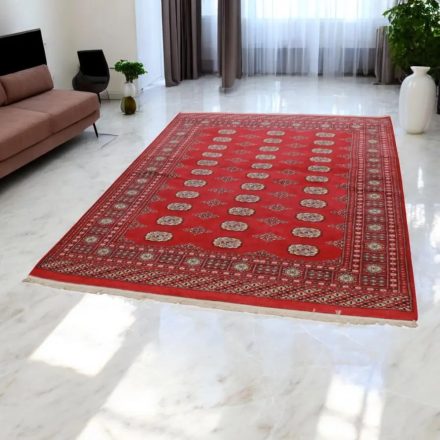 Pakistanska preproga bordo Bukhara 168x229 Ročno vozlana orientalska preproga