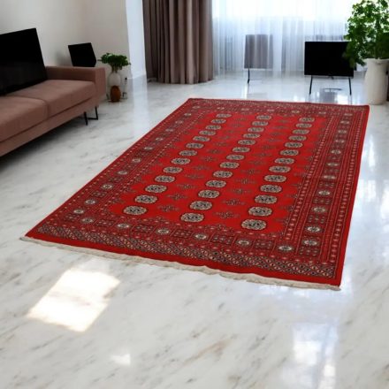 Pakistanska preproga bordo Bukhara 167x243 Ročno vozlana orientalska preproga