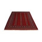 Pakistanska preproga bordo Bukhara 169x223 Ročno vozlana orientalska preproga