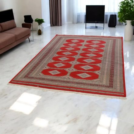 Pakistanska preproga bordo Jaldar 168x237 Ročno vozlana orientalska preproga
