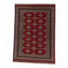 Pakistanska preproga bordo Jaldar 168x237 Ročno vozlana orientalska preproga