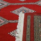 Pakistanska preproga bordo Jaldar 168x237 Ročno vozlana orientalska preproga