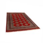 Pakistanska preproga bordo Jaldar 168x237 Ročno vozlana orientalska preproga