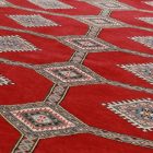 Pakistanska preproga bordo Jaldar 168x237 Ročno vozlana orientalska preproga