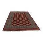 Pakistanska preproga bordo Jaldar 170x242 Ročno vozlana orientalska preproga