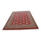 Pakistanska preproga bordo Jaldar 168x259 Ročno vozlana orientalska preproga