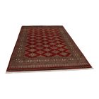 Pakistanska preproga bordo Jaldar 168x259 Ročno vozlana orientalska preproga