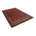 Pakistanska preproga bordo Jaldar 168x259 Ročno vozlana orientalska preproga