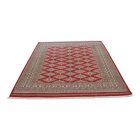 Pakistanska preproga bordo Jaldar 170x230 Ročno vozlana orientalska preproga