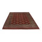 Pakistanska preproga bordo Jaldar 170x230 Ročno vozlana orientalska preproga