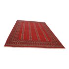 Pakistanska preproga bordo Bukhara 220x297 Ročno vozlana orientalska preproga