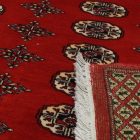 Pakistanska preproga bordo Bukhara 220x297 Ročno vozlana orientalska preproga