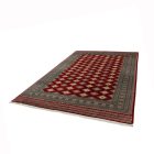 Pakistanska preproga bordo Jaldar 200x307 Ročno vozlana orientalska preproga