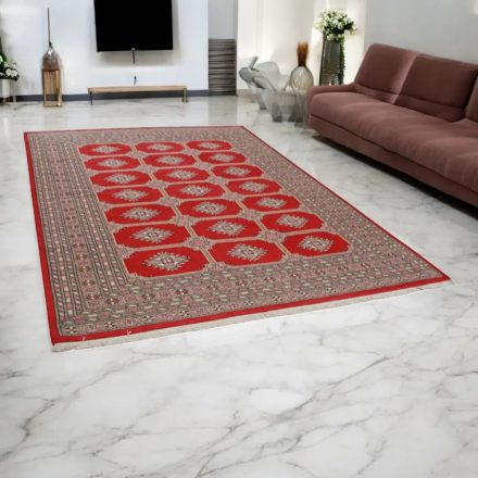 Pakistanska preproga bordo Jaldar 212x282 Ročno vozlana orientalska preproga