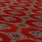 Pakistanska preproga bordo Jaldar 203x298 Ročno vozlana orientalska preproga