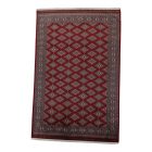 Pakistanska preproga bordo Jaldar 198x302 Ročno vozlana orientalska preproga